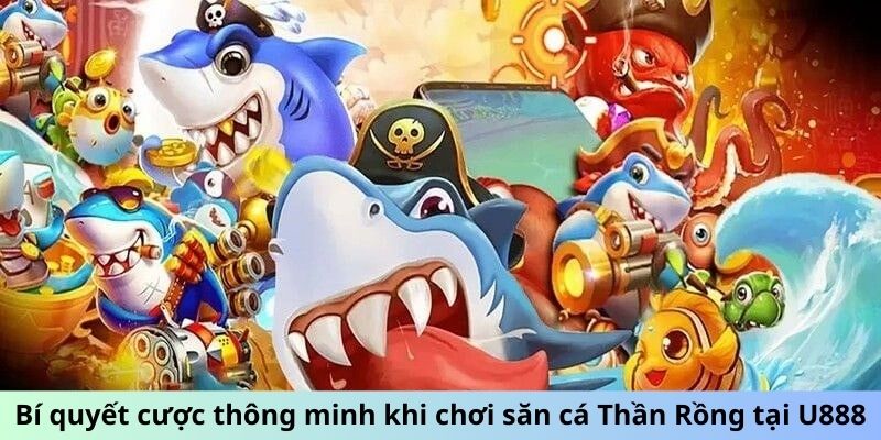 Bí quyết cược thông minh khi chơi săn cá Thần Rồng tại U888