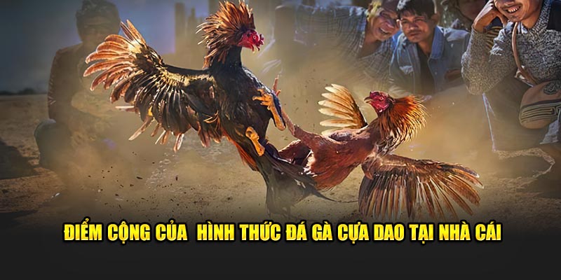 Điểm cộng của  hình thức đá gà cựa dao tại nhà cái