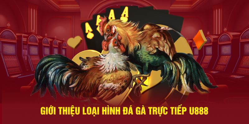 Giới thiệu loại hình đá gà trực tiếp U888