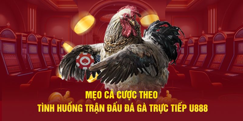 Mẹo cá cược theo tình huống trận đấu đá gà trực tiếp U888